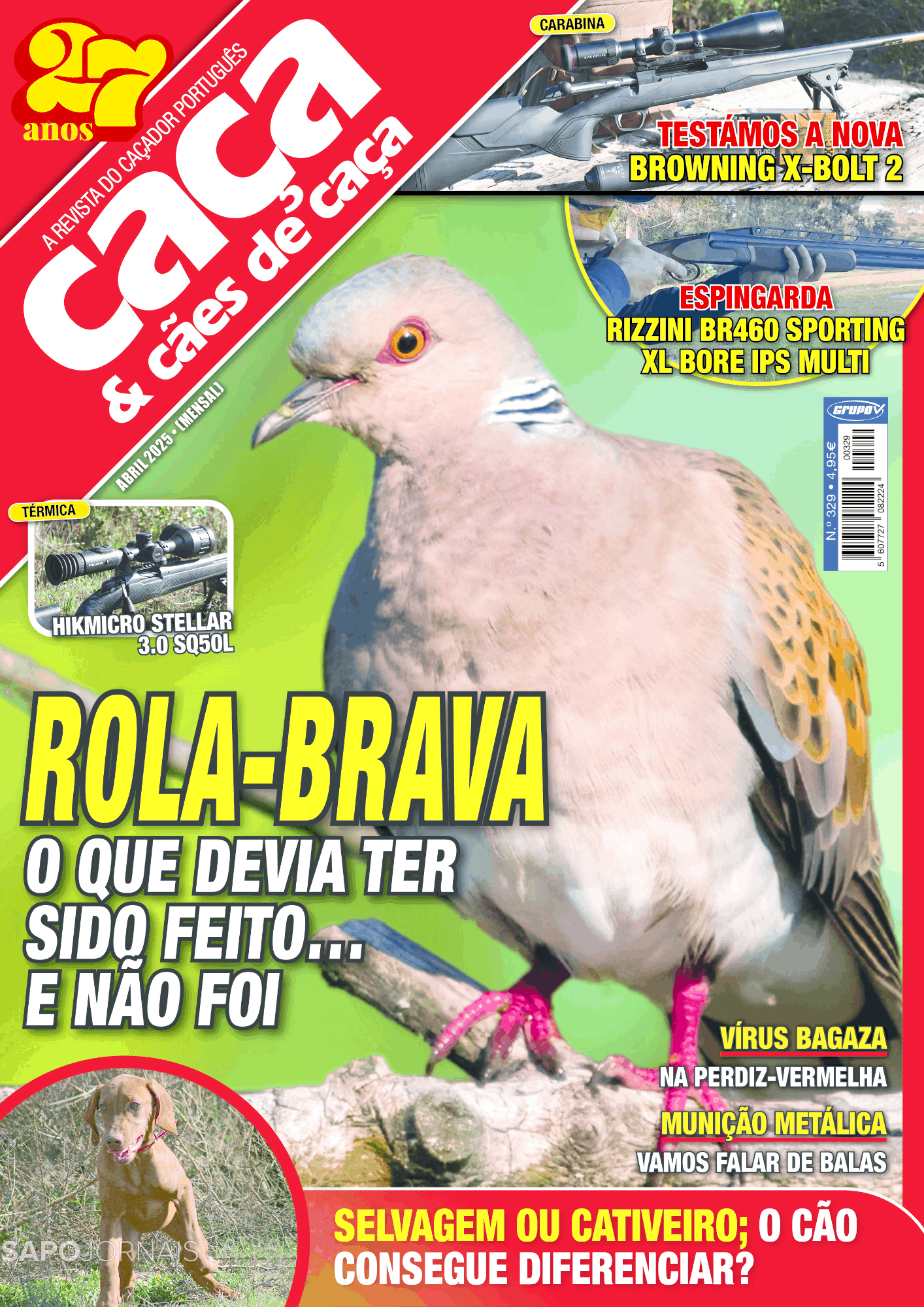 Caça & Cães de Caça