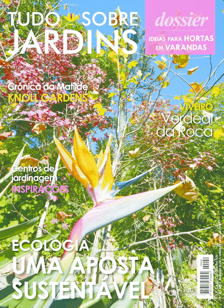 Tudo Sobre Jardins Dez Jornais E Revistas Sapo Pt Ltima