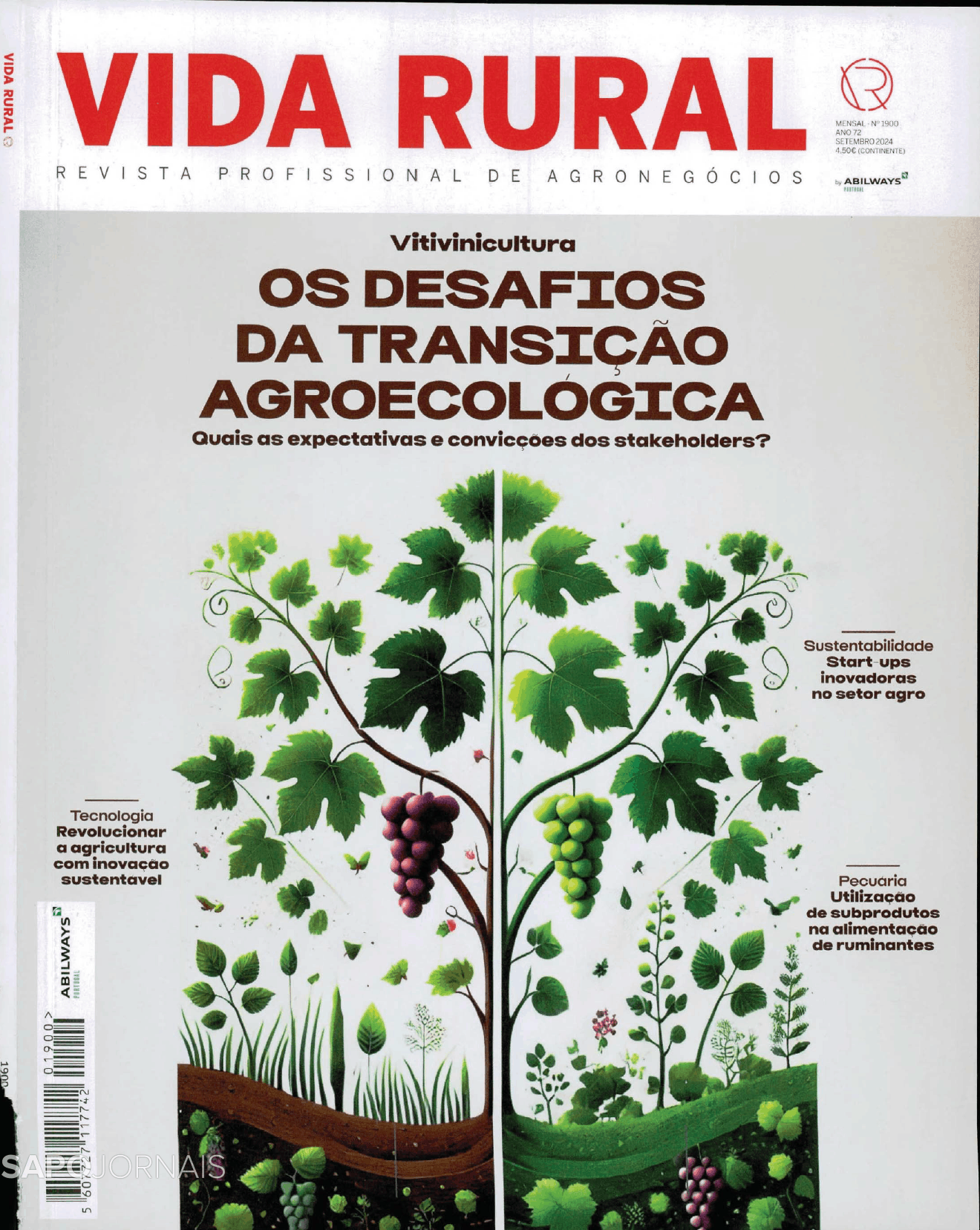 Vida Rural