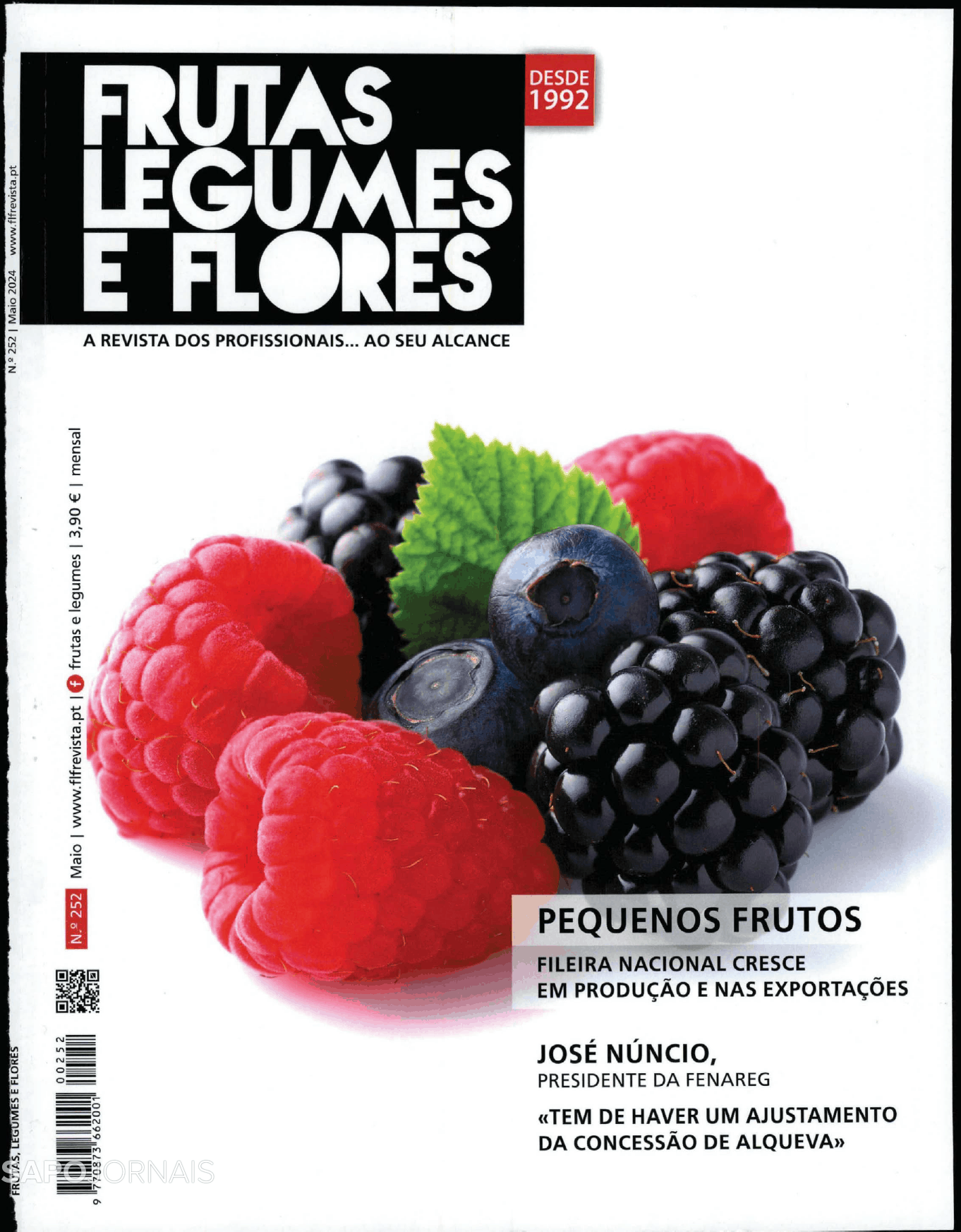 Frutas Legumes e Flores